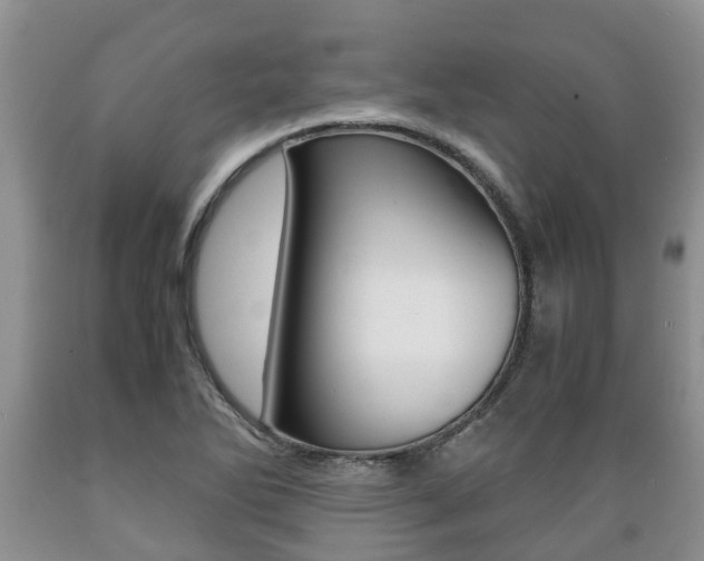 X0000089731270200706210908
