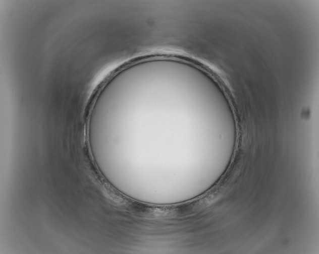 X0000089731271200706210908