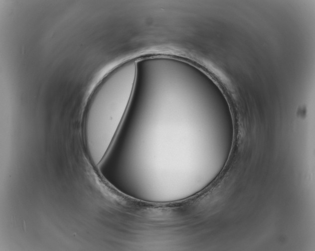 X0000089731272200706210908