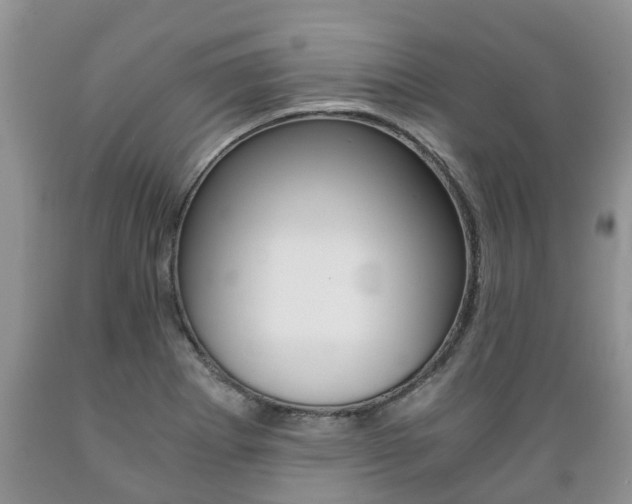 X0000089731273200706210908