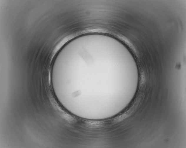 X0000089731274200706210908