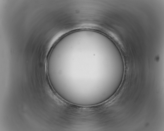 X0000089731275200706210908