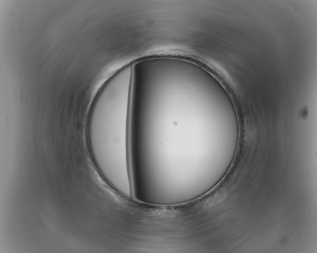 X0000089731277200706210908