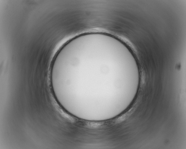 X0000089731278200706210908