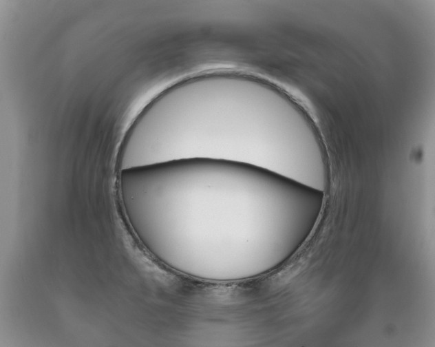X0000089731279200706210908