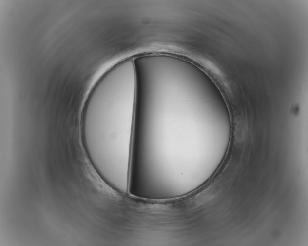 X0000089731280200706210908