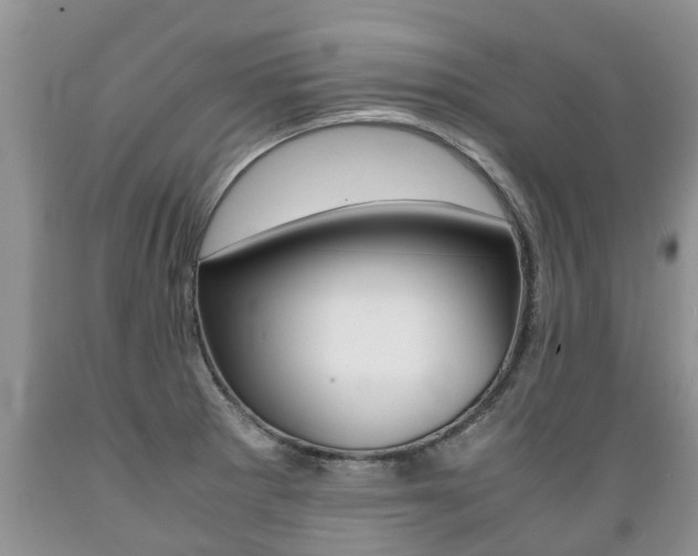 X0000089731281200706210908
