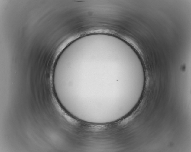 X0000089731282200706210908