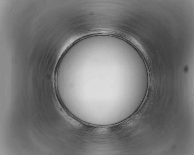 X0000089731283200706210908