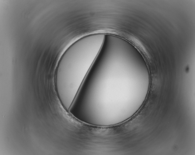 X0000089731284200706210908