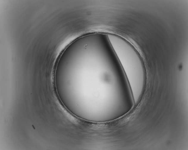 X0000089731285200706210908