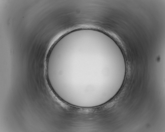 X0000089731286200706210908