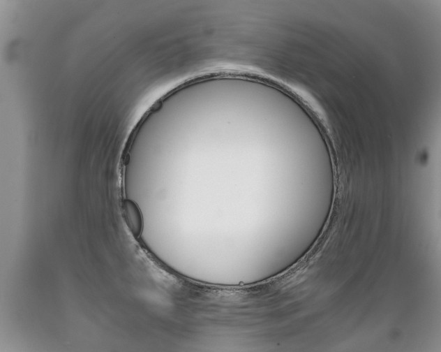 X0000089731287200706210908