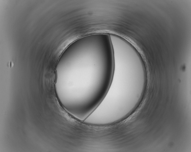 X0000089731289200706210908