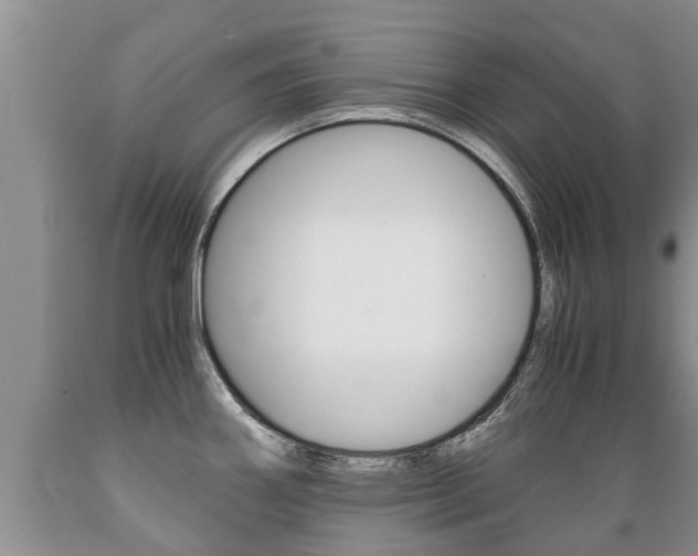 X0000089731290200706210908