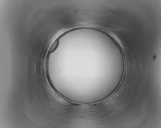 X0000089731291200706210908