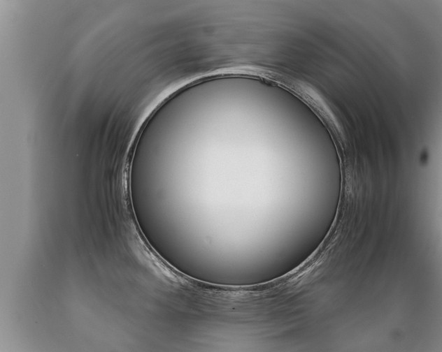 X0000089731292200706210908