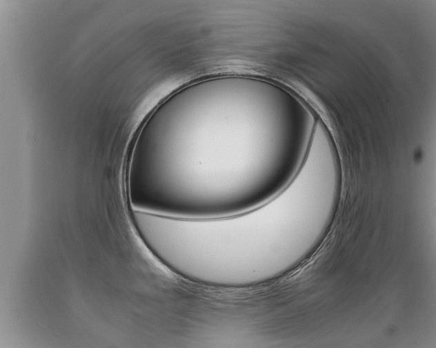 X0000089731293200706210908