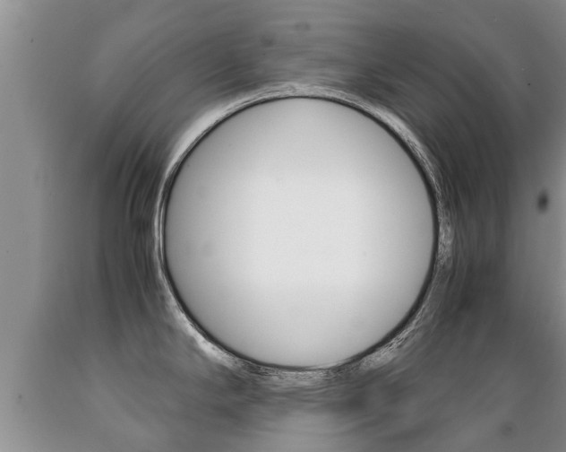X0000089731294200706210908