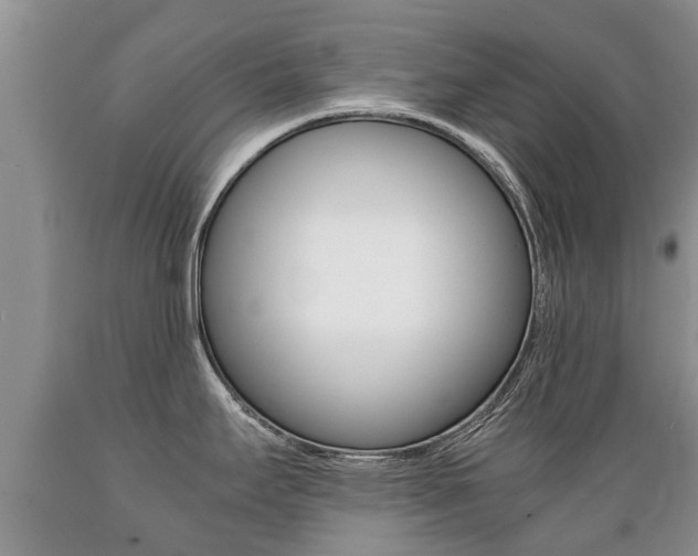 X0000089731295200706210908