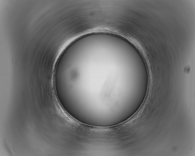 X0000089731296200706210908