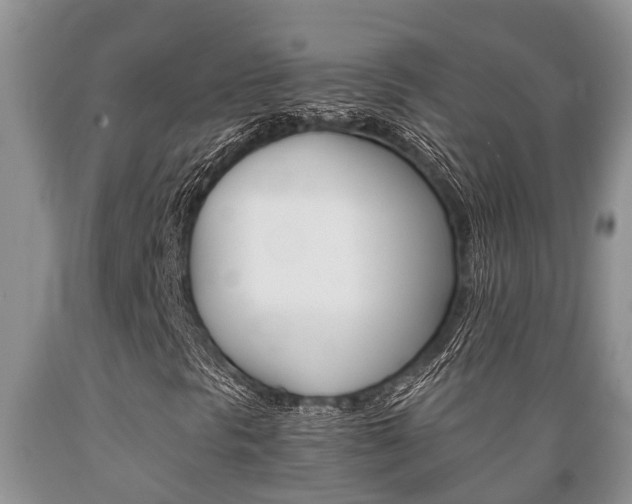 X0000089731297200706210907