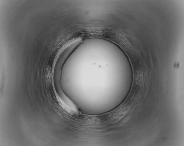 X0000089731298200706210907