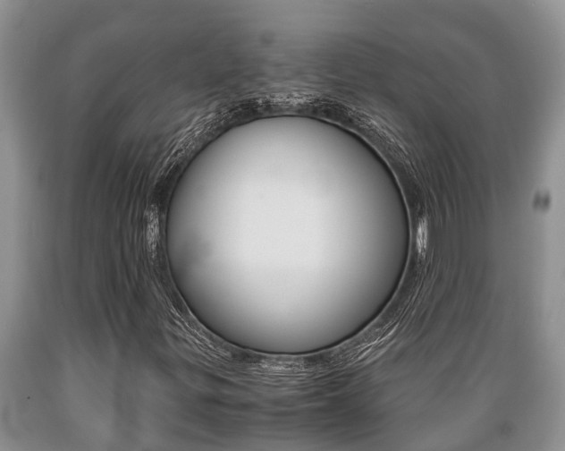 X0000089731299200706210907