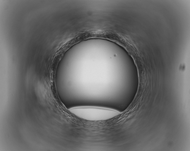 X0000089731301200706210907