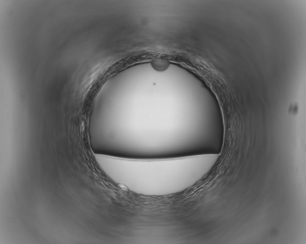 X0000089731302200706210907