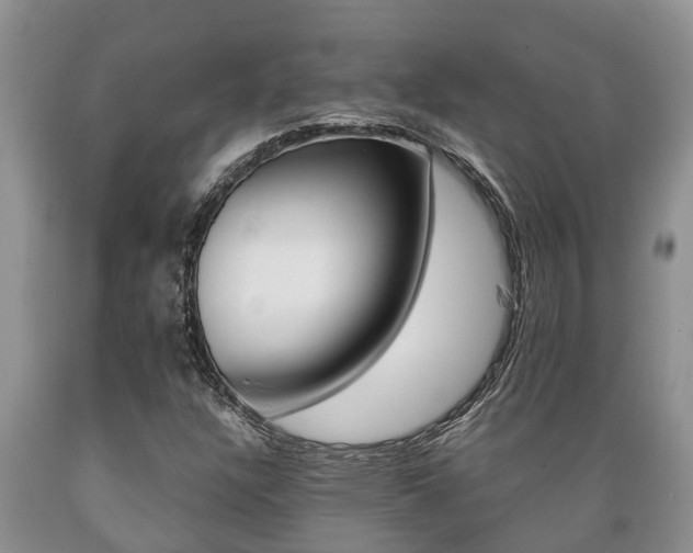 X0000089731304200706210907
