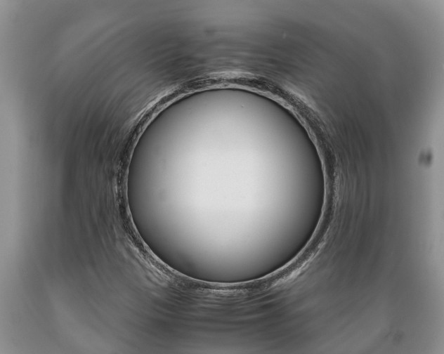 X0000089731305200706210907