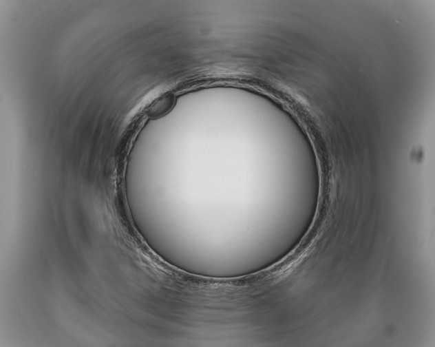 X0000089731306200706210907