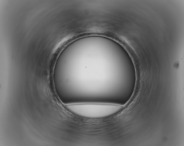 X0000089731307200706210907