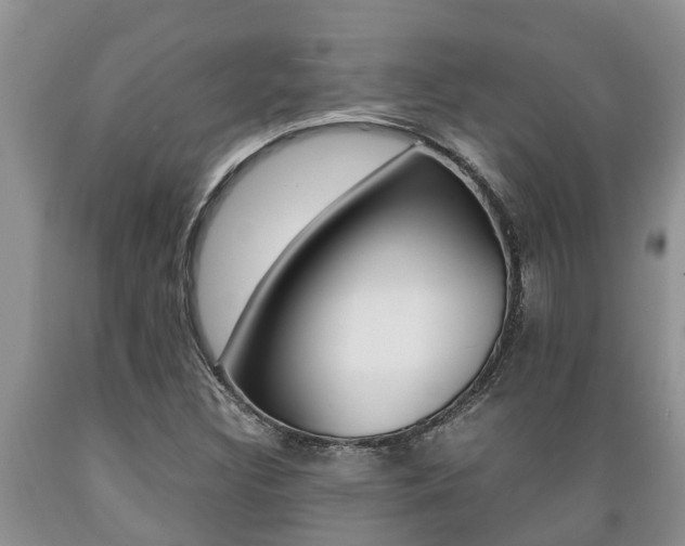 X0000089731308200706210907