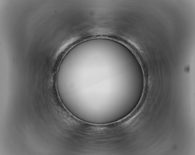 X0000089731309200706210907