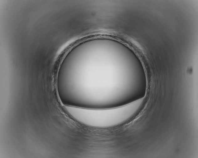 X0000089731310200706210907
