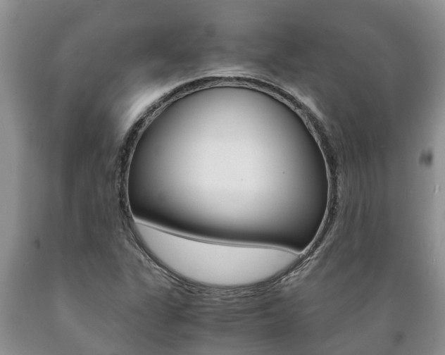 X0000089731311200706210907
