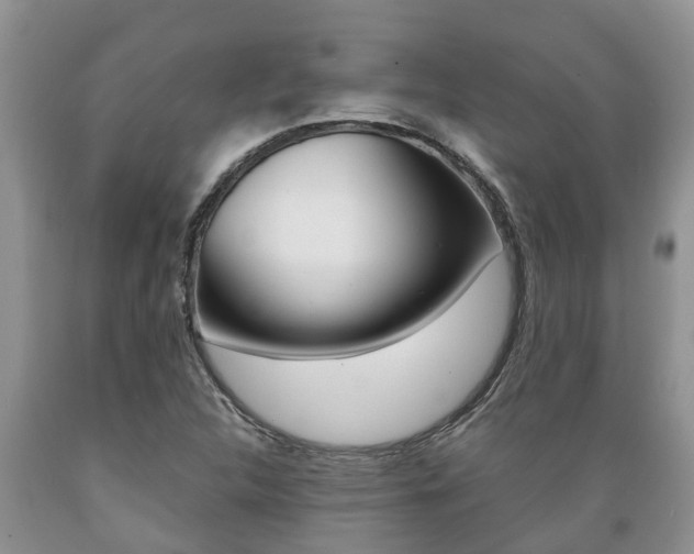 X0000089731312200706210907