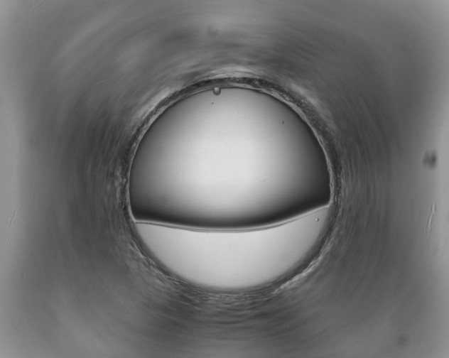 X0000089731313200706210907