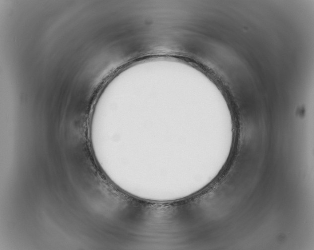 X0000089731314200706210907
