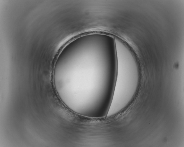 X0000089731316200706210907