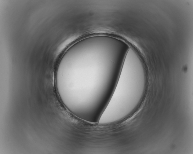 X0000089731317200706210907