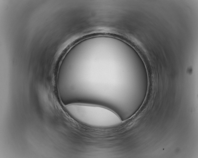 X0000089731318200706210908