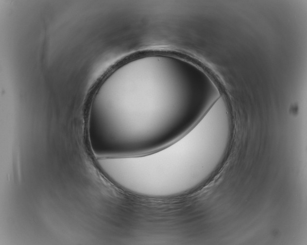 X0000089731319200706210908