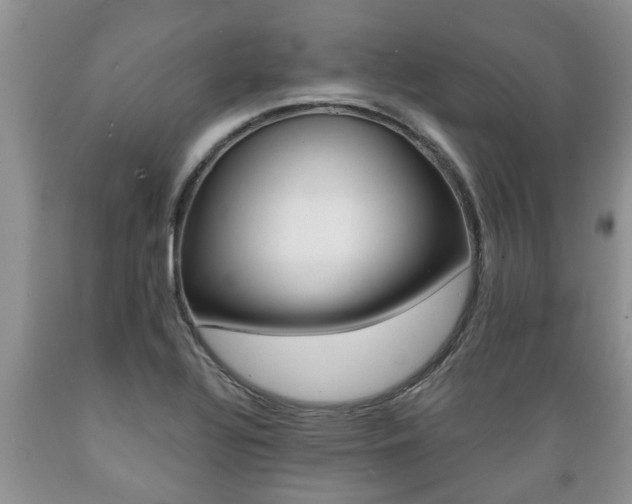 X0000089731320200706210908
