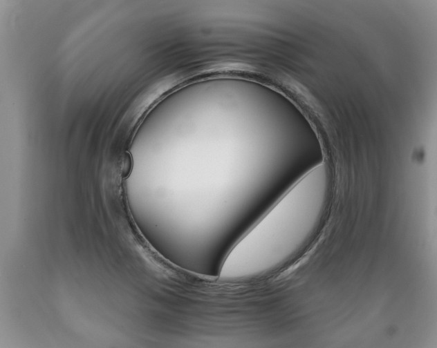 X0000089731321200706210908