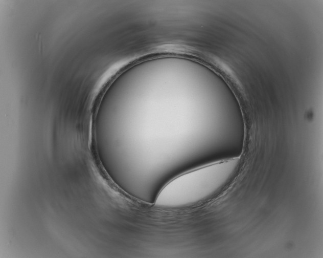 X0000089731323200706210908