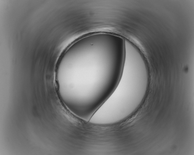 X0000089731324200706210908
