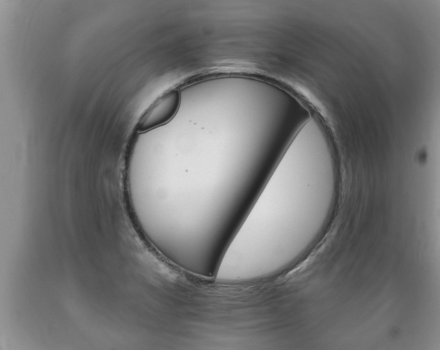 X0000089731325200706210908